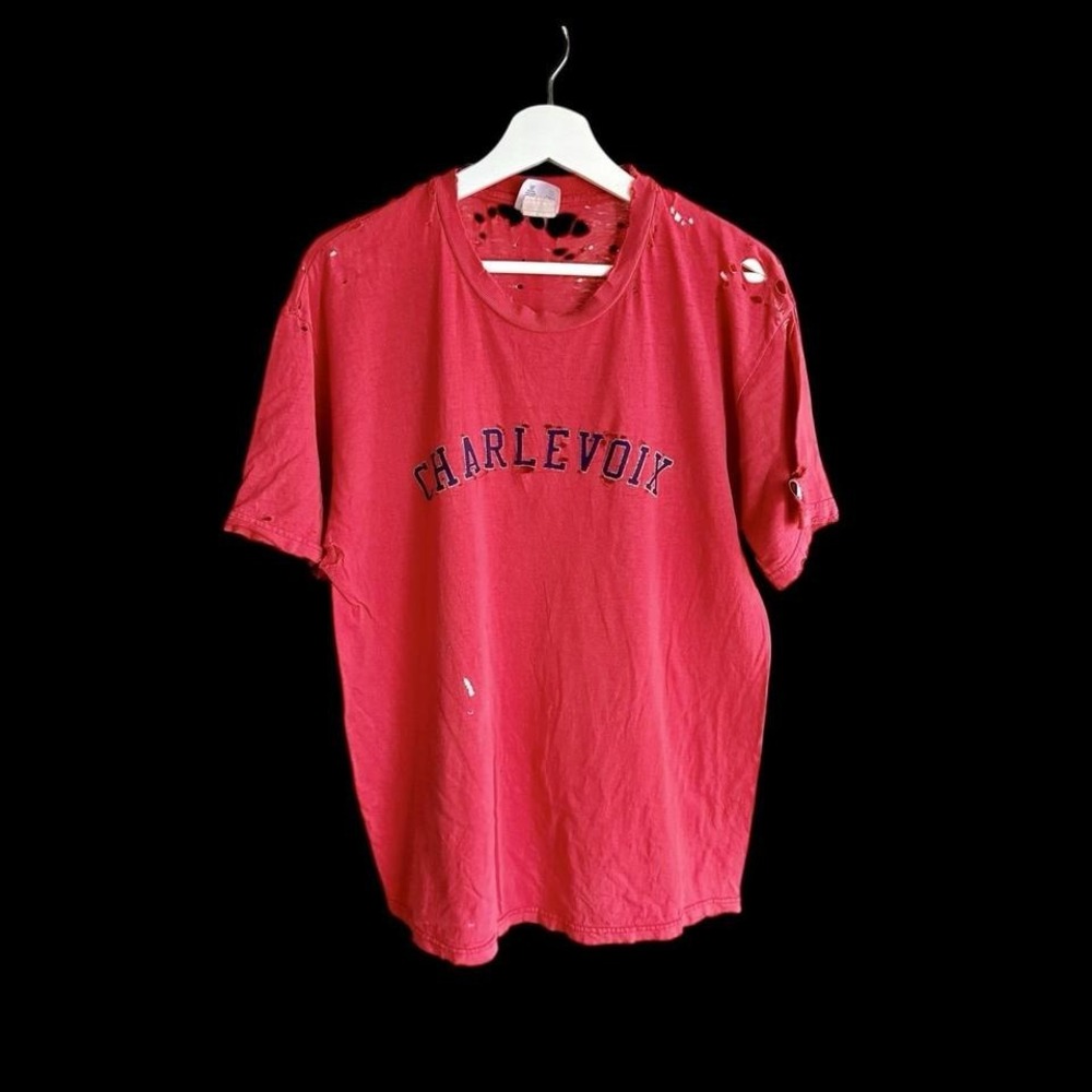 Vintage 80s Champion Charlevoix Michigan T Shirt Large Distressed‎ Thrashed